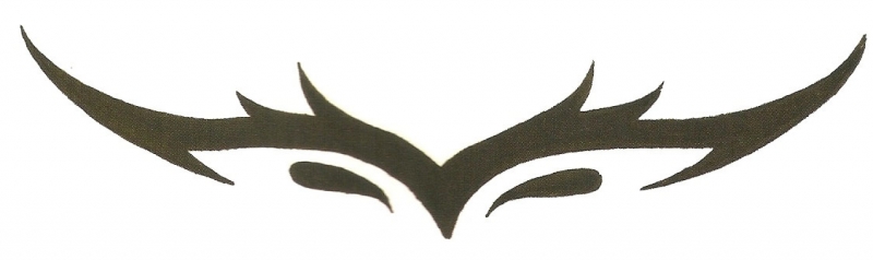 Card image cap